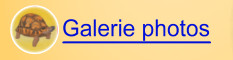 Galerie photo