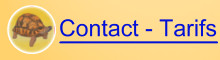 Contact - Tarifs