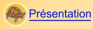 Prsentation
