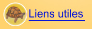 Liens utiles
