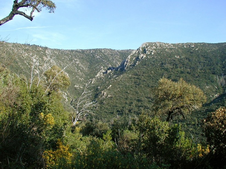 La crête du Laquina (603 m)