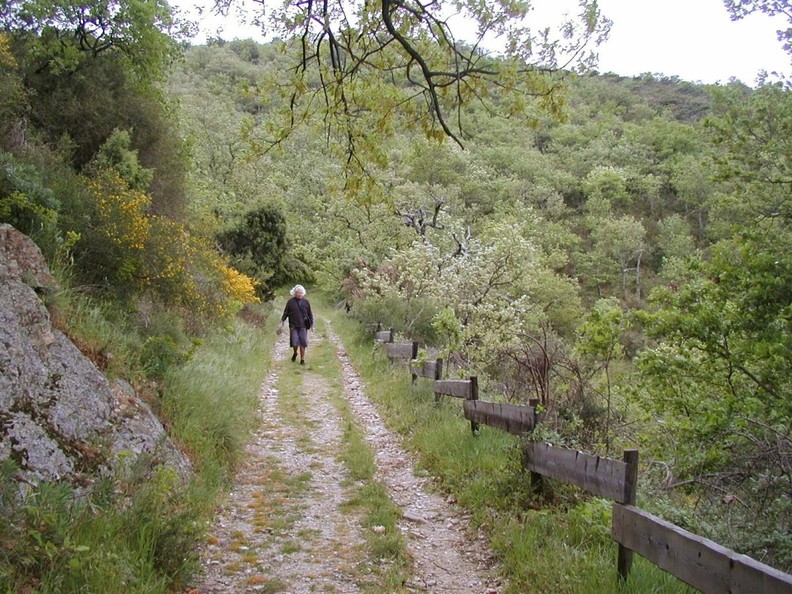 Promenade près du village
