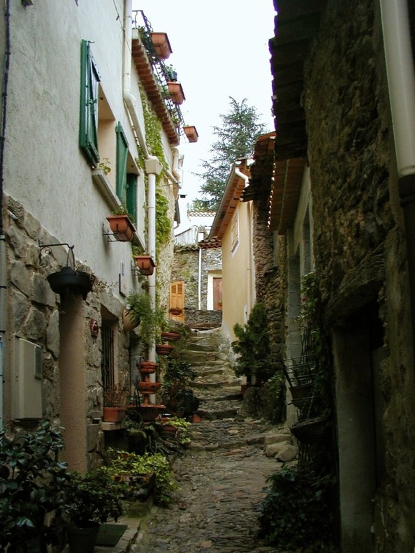 Collobrières - Ruelle