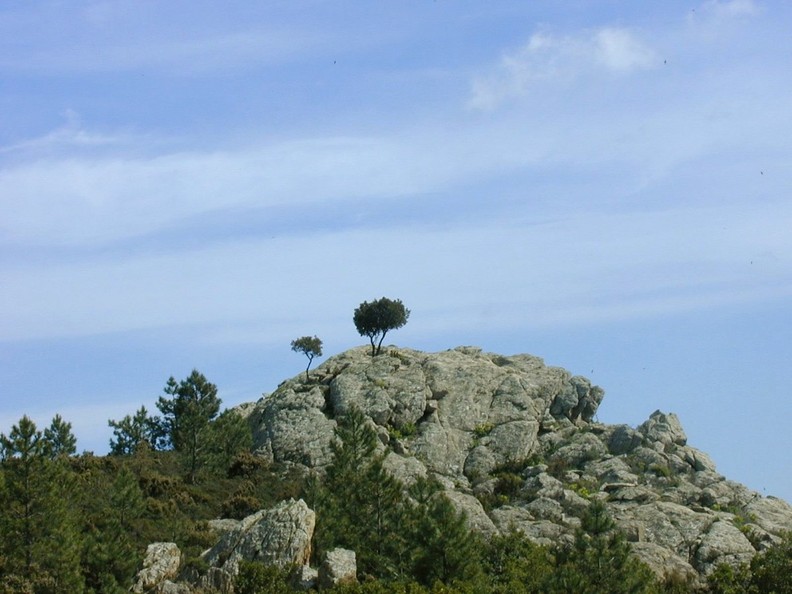 Route des Crêtes Marc Robert - Les Roches Blanches
