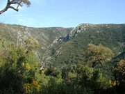La crête du Laquina (603 m)